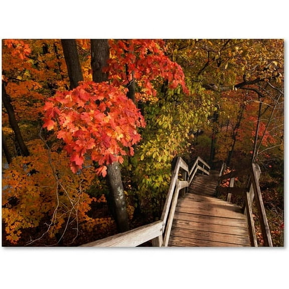 Trademark Fine Art "Brilliant Autumn Stairway" Canvas Art by Kurt Shaffer