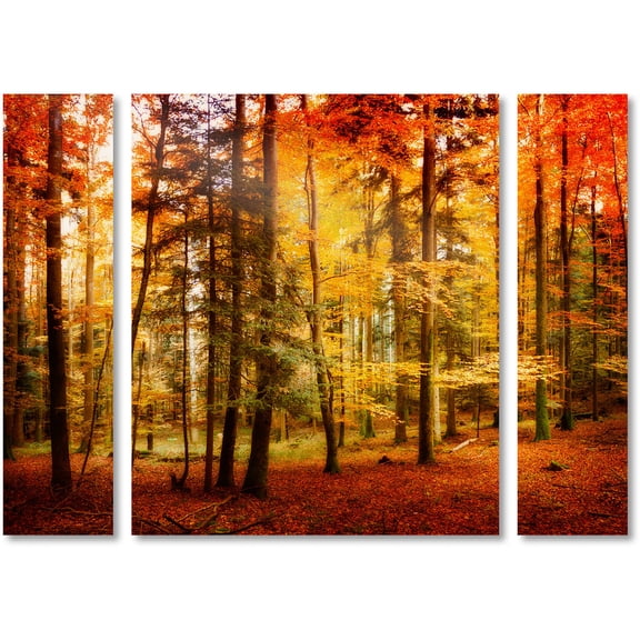 Trademark Fine Art "Brilliant Fall Color" Canvas Art by Philippe Sainte-Laudy Three Panel Set