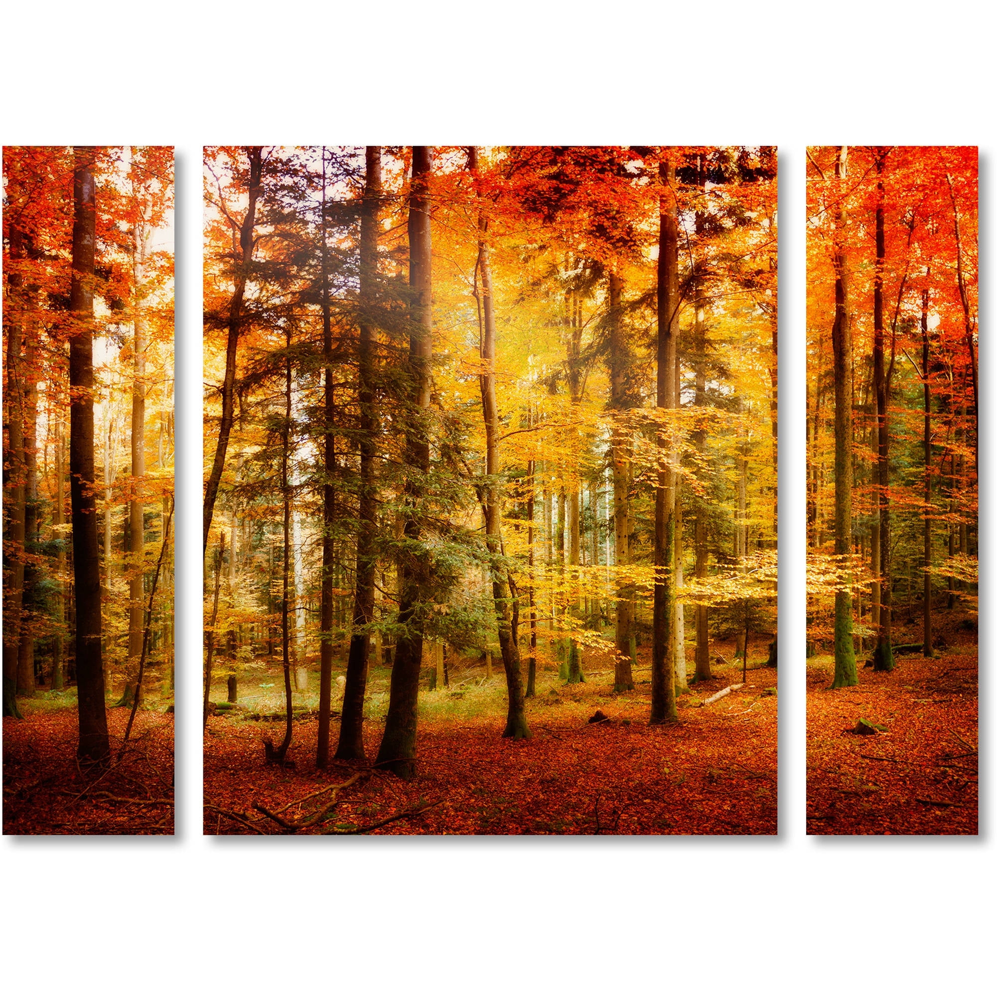 Trademark Fine Art "Brilliant Fall Color" Canvas Art by Philippe Sainte-Laudy Three Panel Set