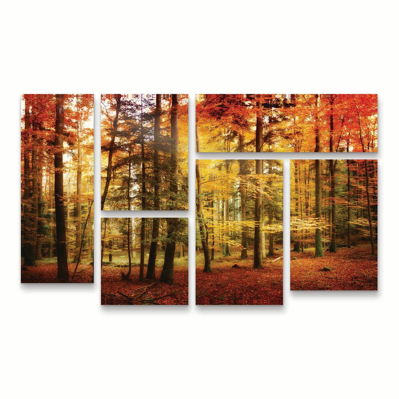 Trademark Fine Art 'Brilliant Fall Color' Canvas Art by Philippe Sainte-Laudy