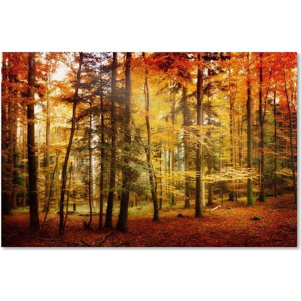 Brilliant Fall Color Forest Canvas Art, 12 x 19
