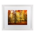 thumbnail image 1 of Trademark Fine Art 'Brilliant Fall Color' Matted Framed Art by Philippe Sainte-Laudy, 1 of 4