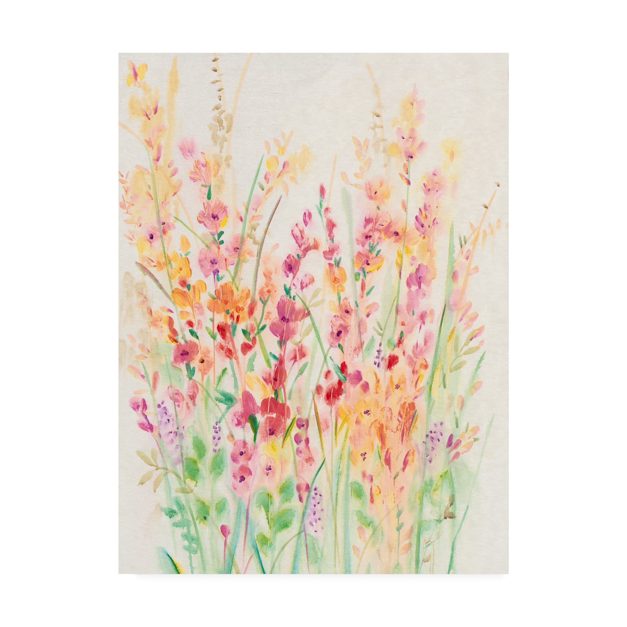 Trademark Fine Art 'Brilliant Floral I' Canvas Art by Tim OToole