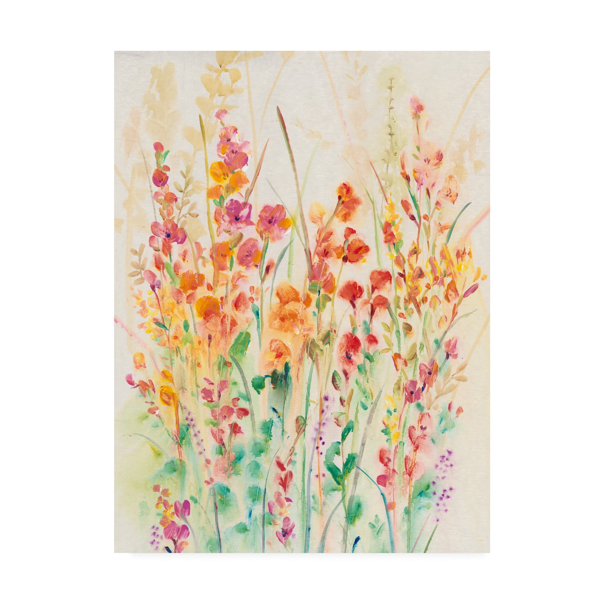Colorful Floral Canvas Art in Tan and Pink