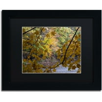Trademark Fine Art "Brilliant Ohio Autumn" Canvas Art by Kurt Shaffer, Black Matte, Black Frame