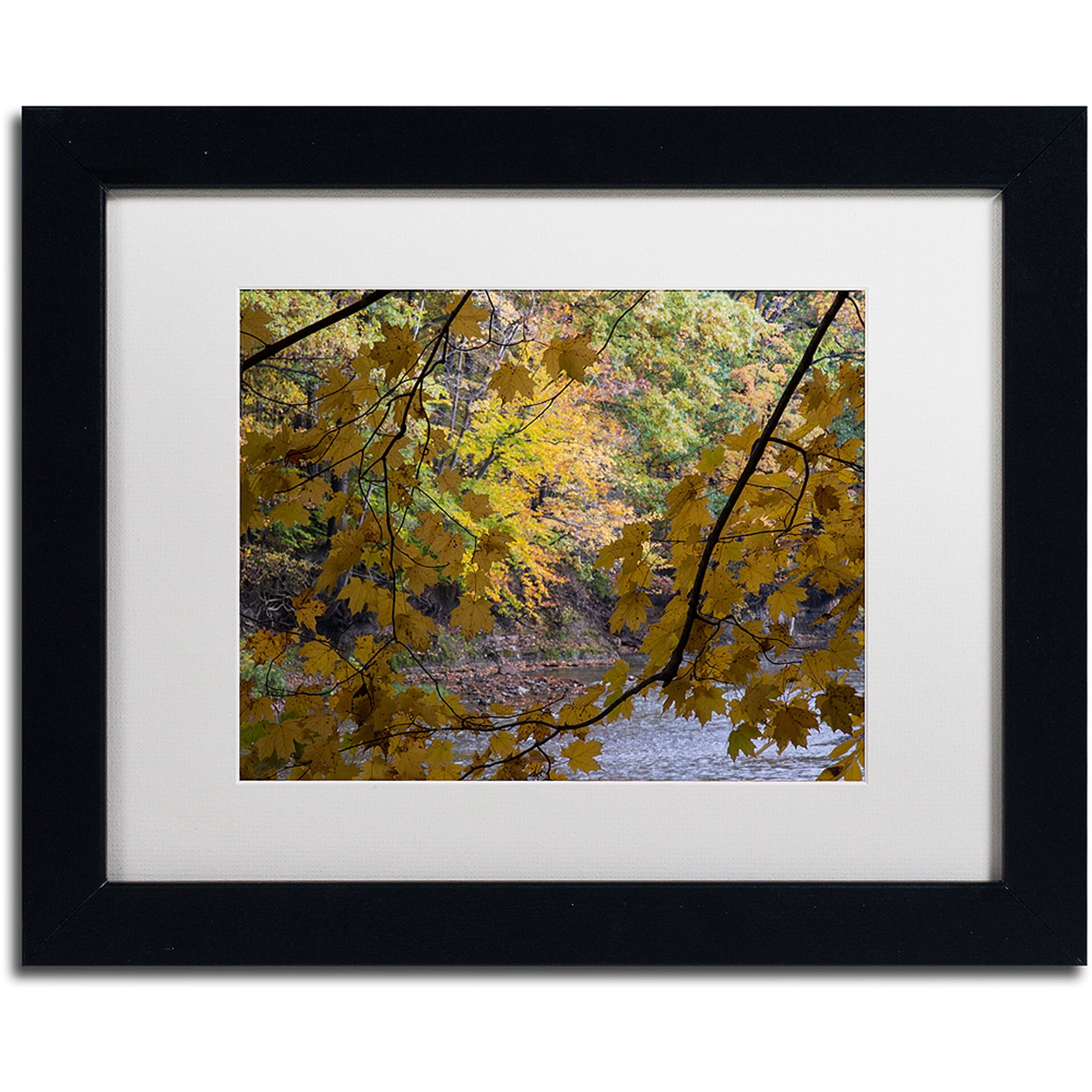 Trademark Fine Art "Brilliant Ohio Autumn" Canvas Art by Kurt Shaffer, White Matte, Black Frame