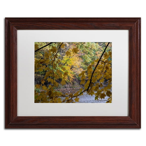 Trademark Fine Art "Brilliant Ohio Autumn" Canvas Art by Kurt Shaffer, White Matte, Wood Frame