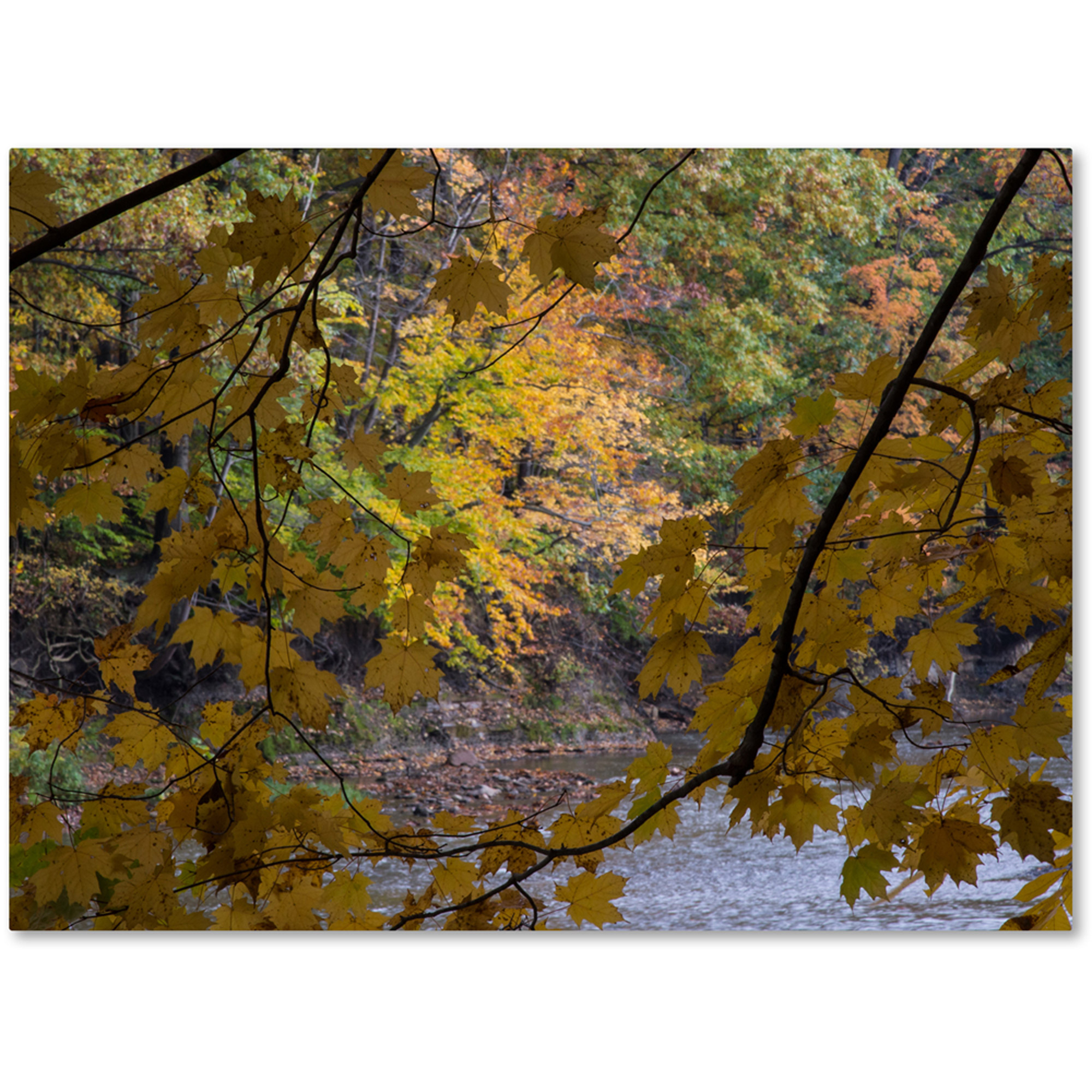 Trademark Fine Art "Brilliant Ohio Autumn" Canvas Art by Kurt Shaffer