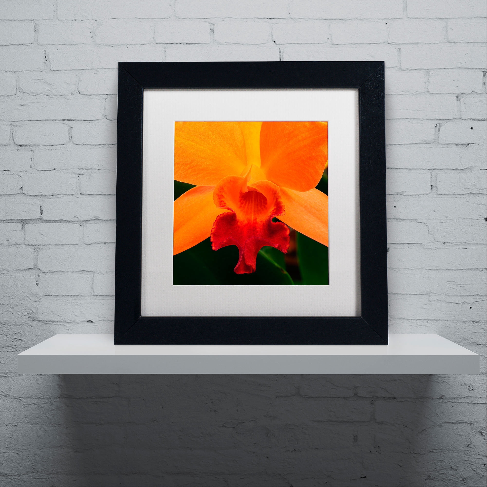 Trademark Fine Art "Brilliant Orchid on Fire" Canvas Art by Kurt Shaffer, White Matte, Black Frame
