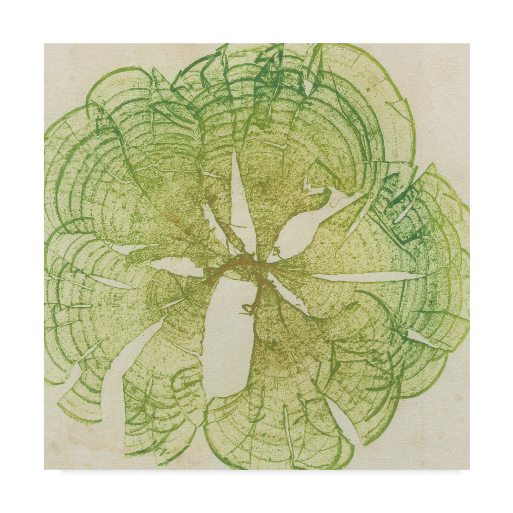Trademark Fine Art 'Brilliant Seaweed VIII' Canvas Art by Vision Studio