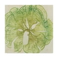 thumbnail image 1 of Trademark Fine Art 'Brilliant Seaweed VIII' Canvas Art by Vision Studio, 1 of 4
