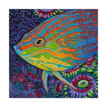 Trademark Fine Art 'Brilliant Tropical Fish I' Canvas Art by Carolee Vitaletti