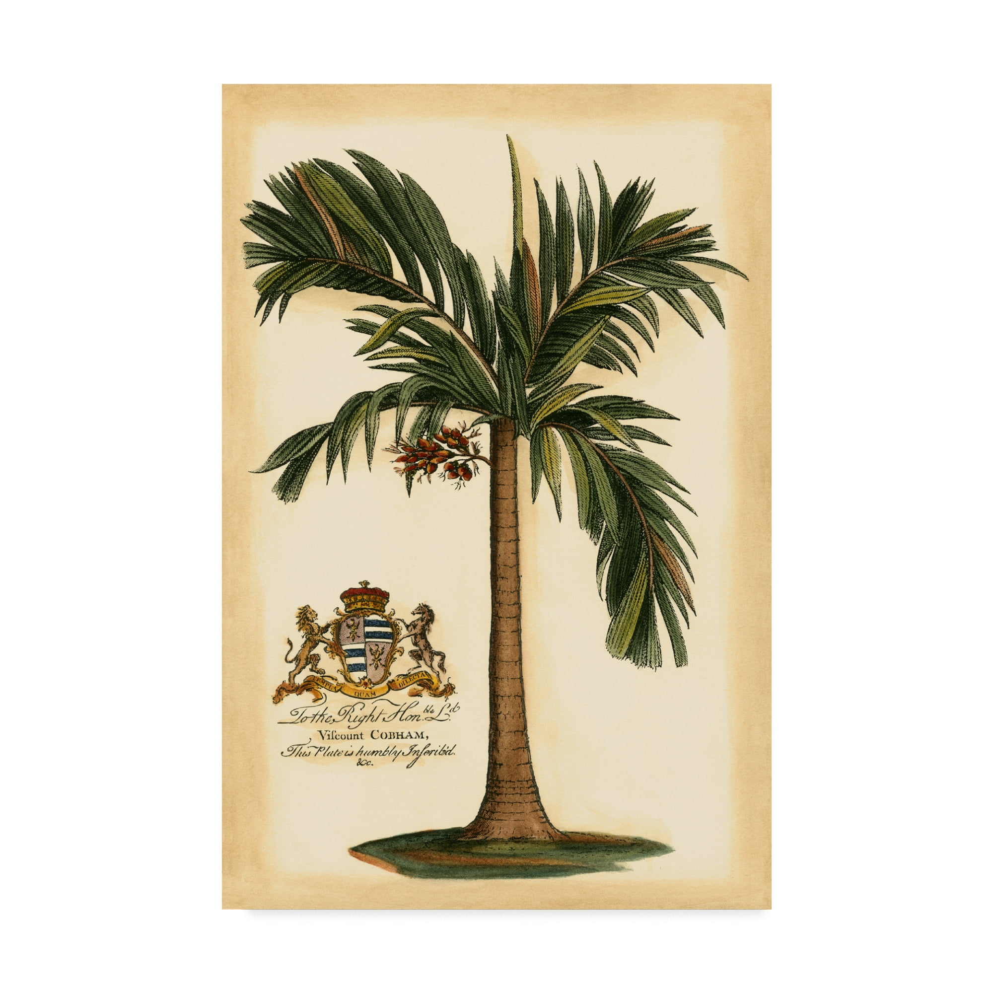 Trademark Fine Art 'British Colonial Palm I' Canvas Art by Vision Studio