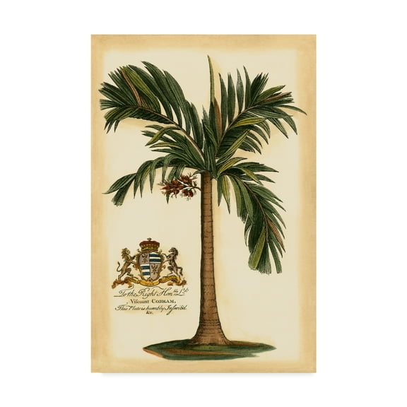 Trademark Fine Art 'British Colonial Palm I' Canvas Art by Vision Studio