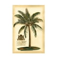 thumbnail image 1 of Trademark Fine Art Vision Studio British Colonial Palm Iii Canvas Wall Art - 30x47, 1 of 5