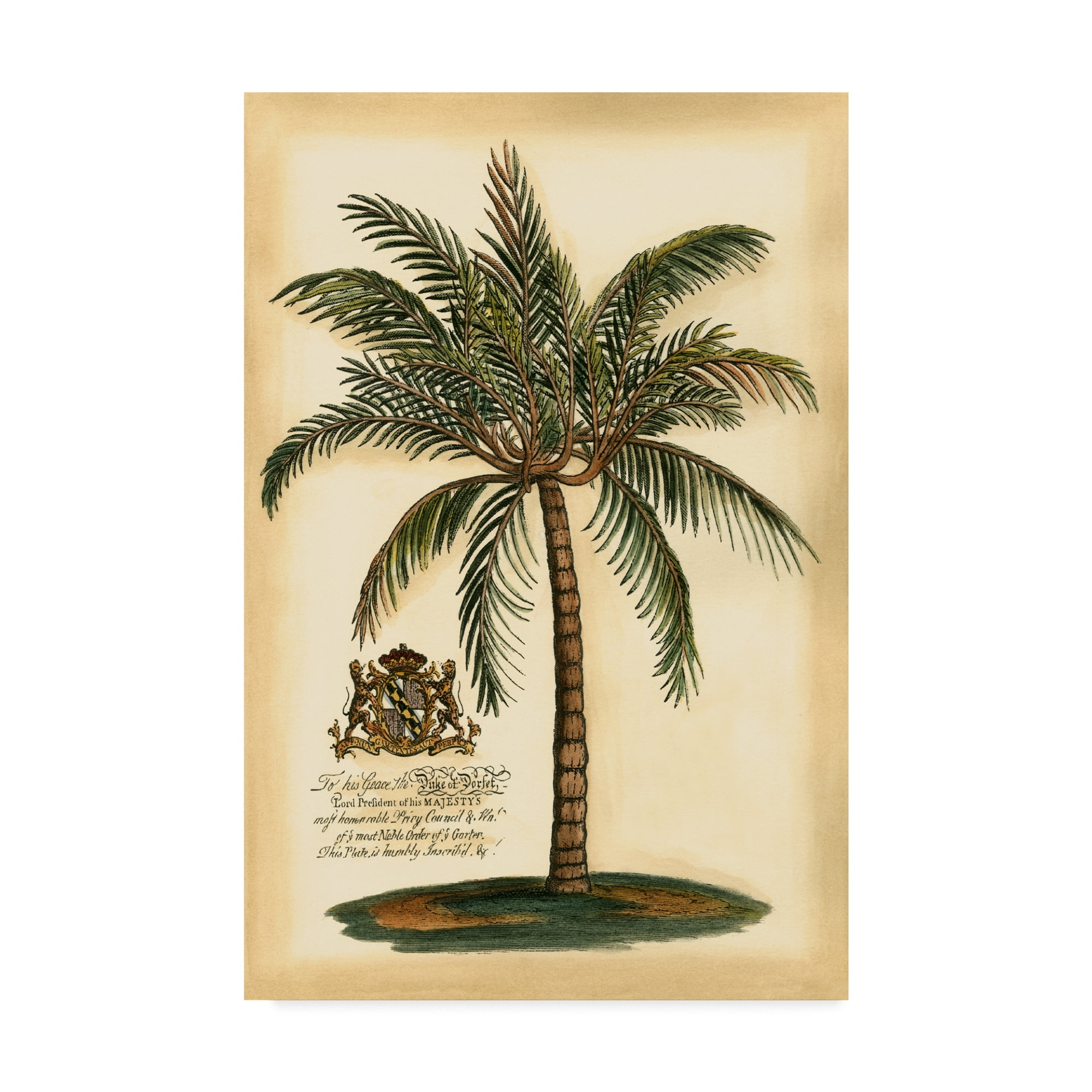 Framed Coastal Palm Tree Print on Canvas, 12 x 19