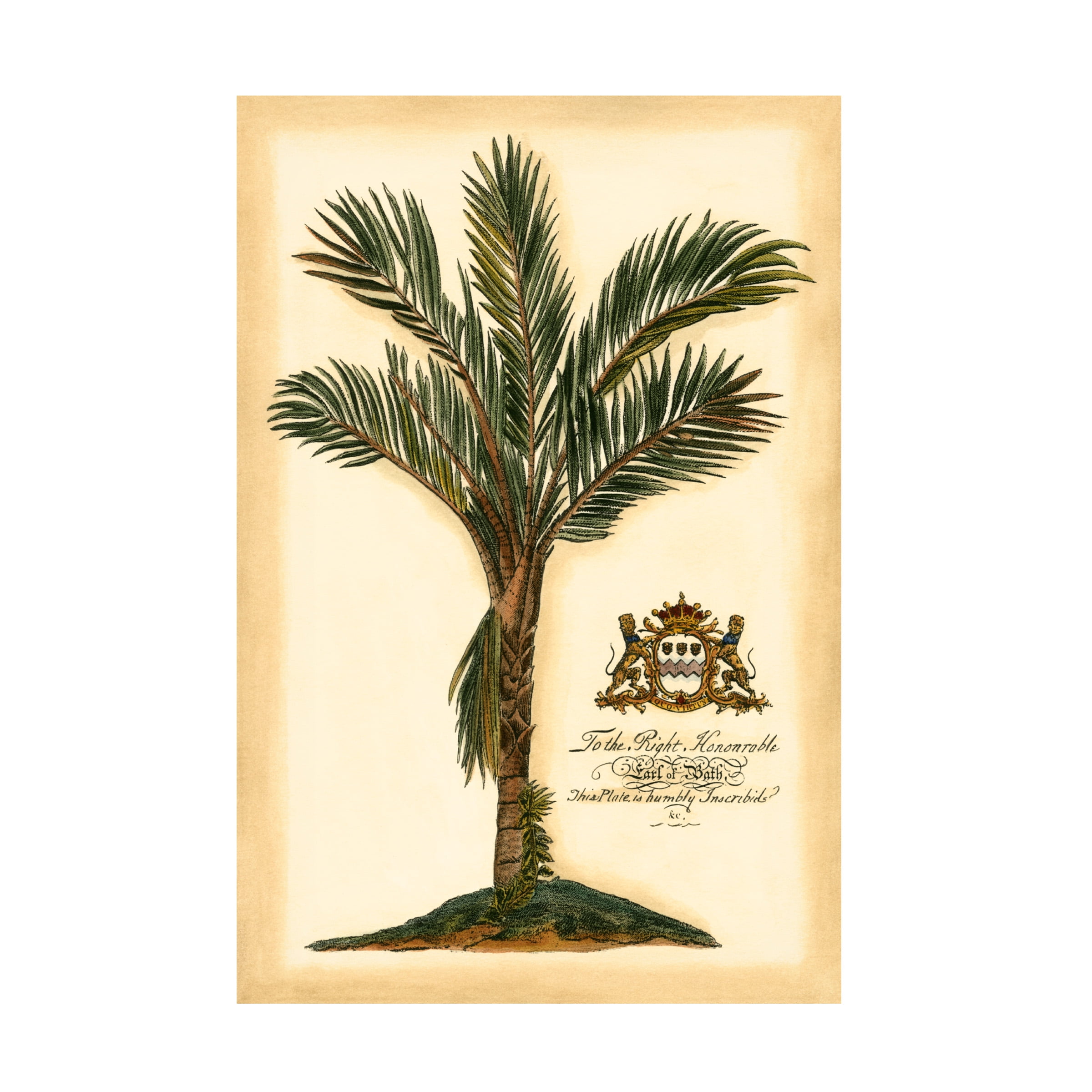 Trademark Fine Art Vision Studio British Colonial Palm Iv Canvas Wall Art - 30x47
