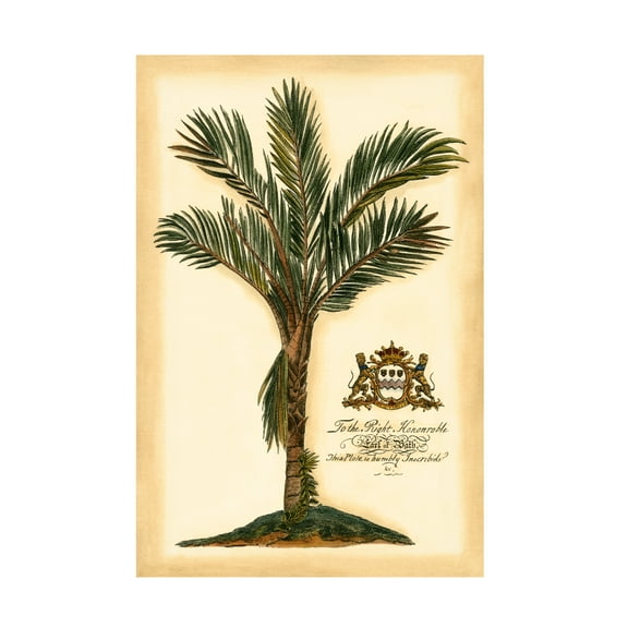Trademark Fine Art Vision Studio British Colonial Palm Iv Canvas Wall Art - 22x32