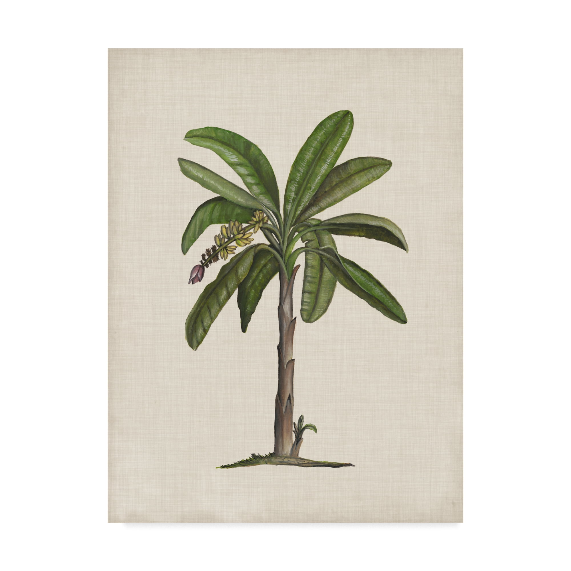Large Green Botanical Palm Tree Canvas Art in Beige Frame