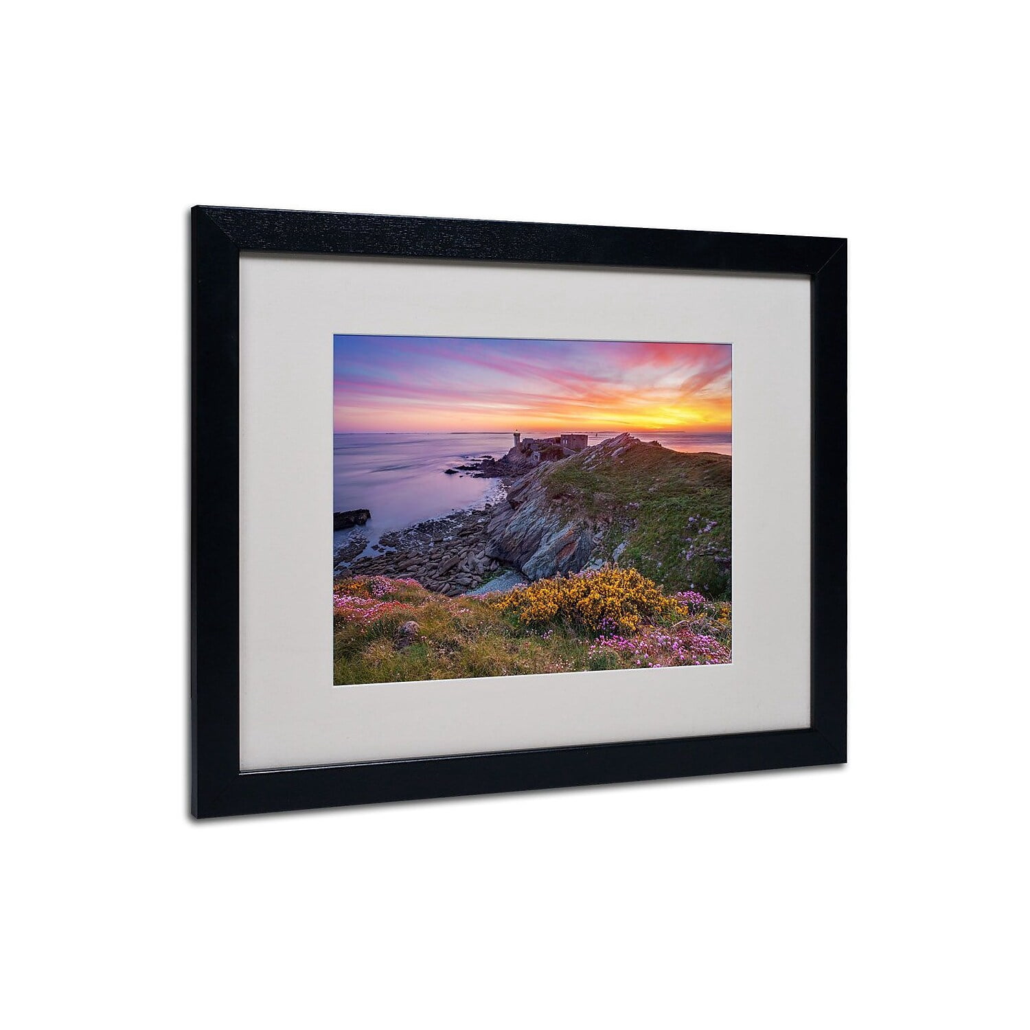 Trademark Fine Art "Brittany In Flowers" Framed Canvas Art by Mathieu Rivrin