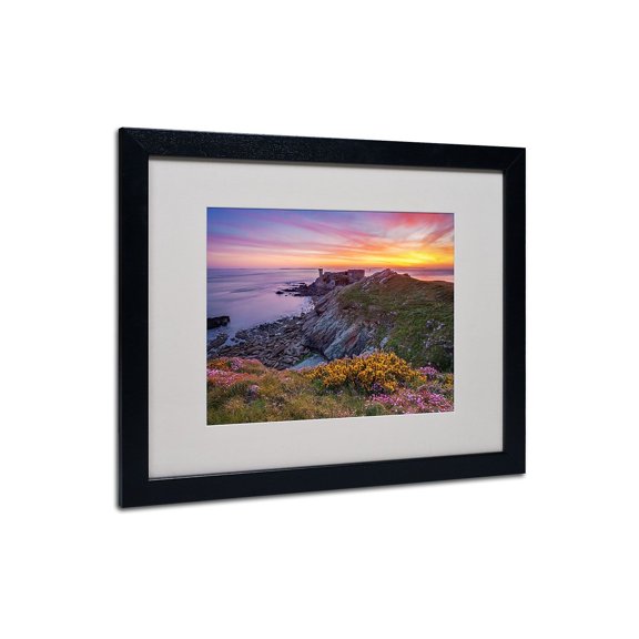 Trademark Fine Art "Brittany In Flowers" Framed Canvas Art by Mathieu Rivrin