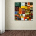 thumbnail image 1 of Trademark Fine Art "Brocade Color Collage 1" Canvas Art by Michelle Calkins, 1 of 3