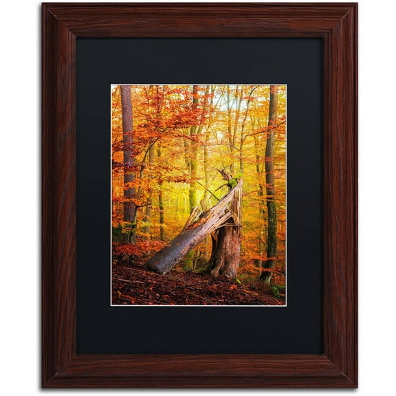 Trademark Fine Art "Broken Career" Canvas Art by Philippe Sainte-Laudy Black Matte, Wood Frame