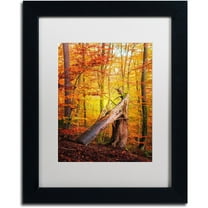 Trademark Fine Art "Broken Career" Canvas Art by Philippe Sainte-Laudy White Matte, Black Frame