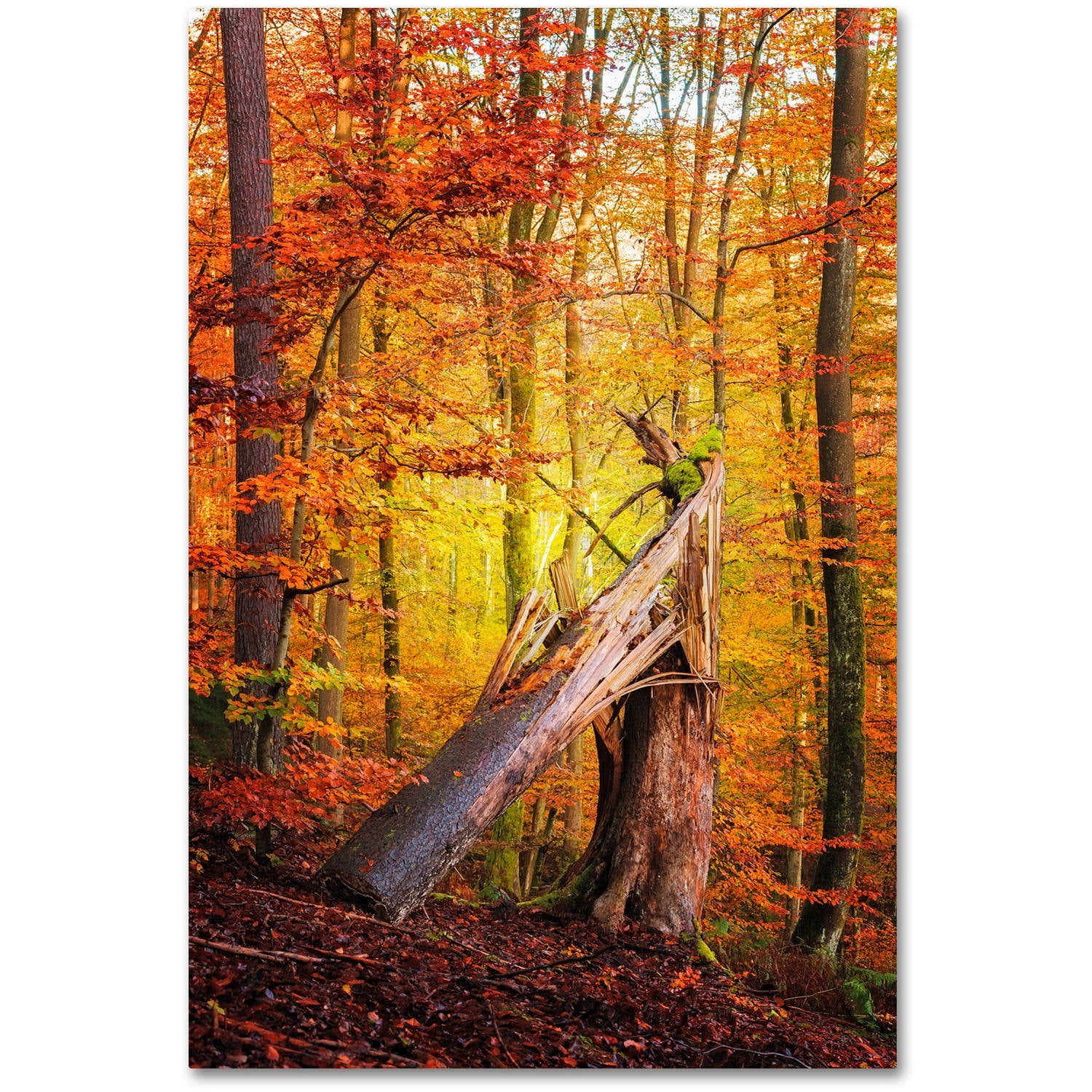 Trademark Fine Art "Broken Career" Canvas Art by Philippe Sainte-Laudy