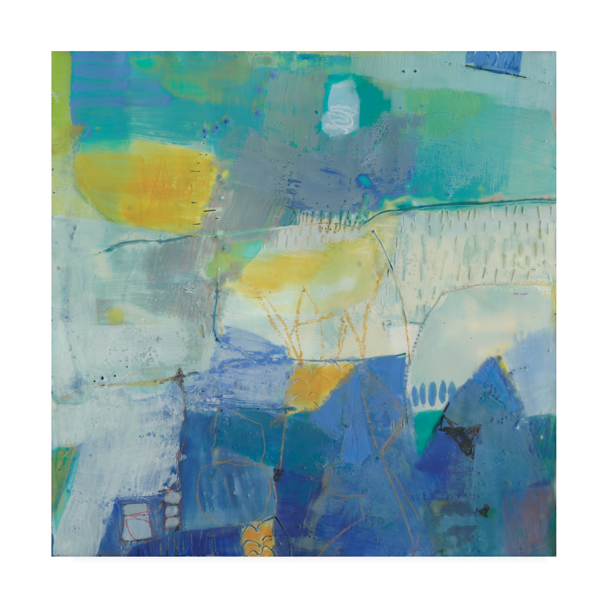 Trademark Fine Art 'Brontide I' Canvas Art by Sue Jachimiec