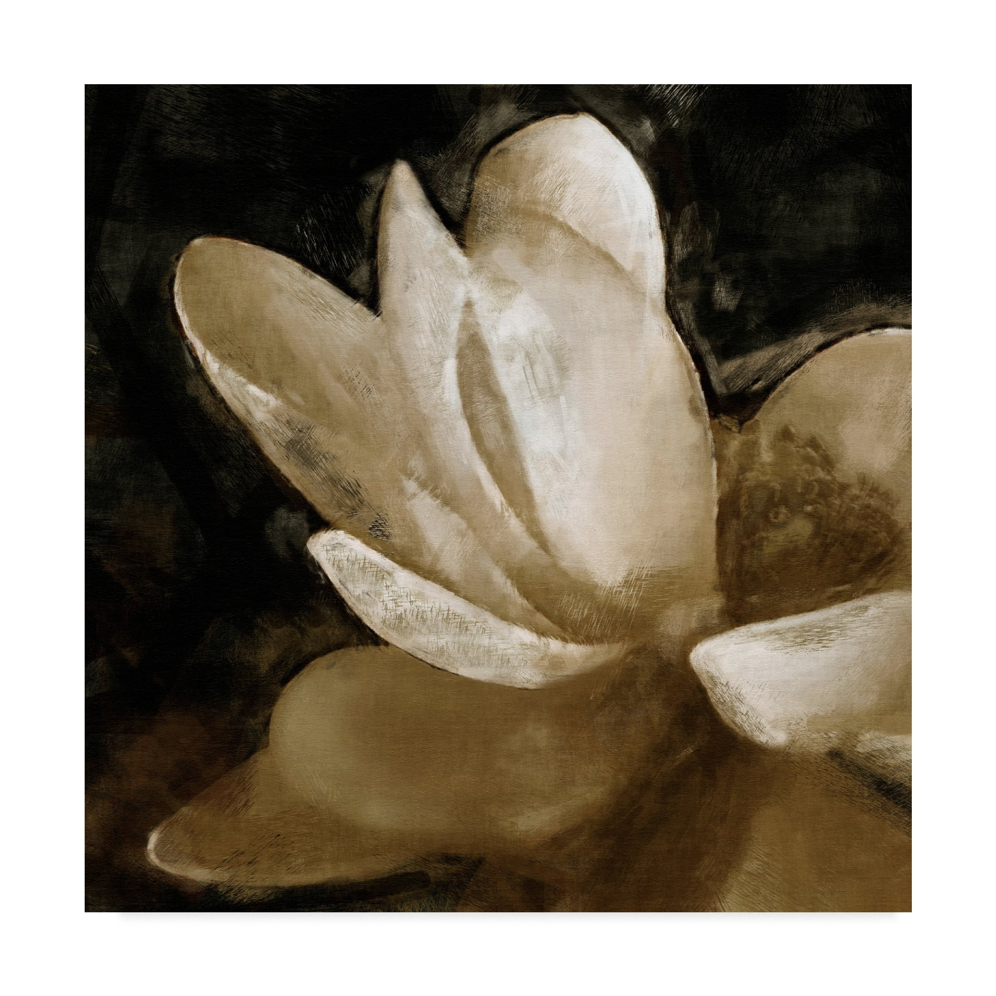 Trademark Fine Art 'Bronze Lily V' Canvas Art by Noah Bay