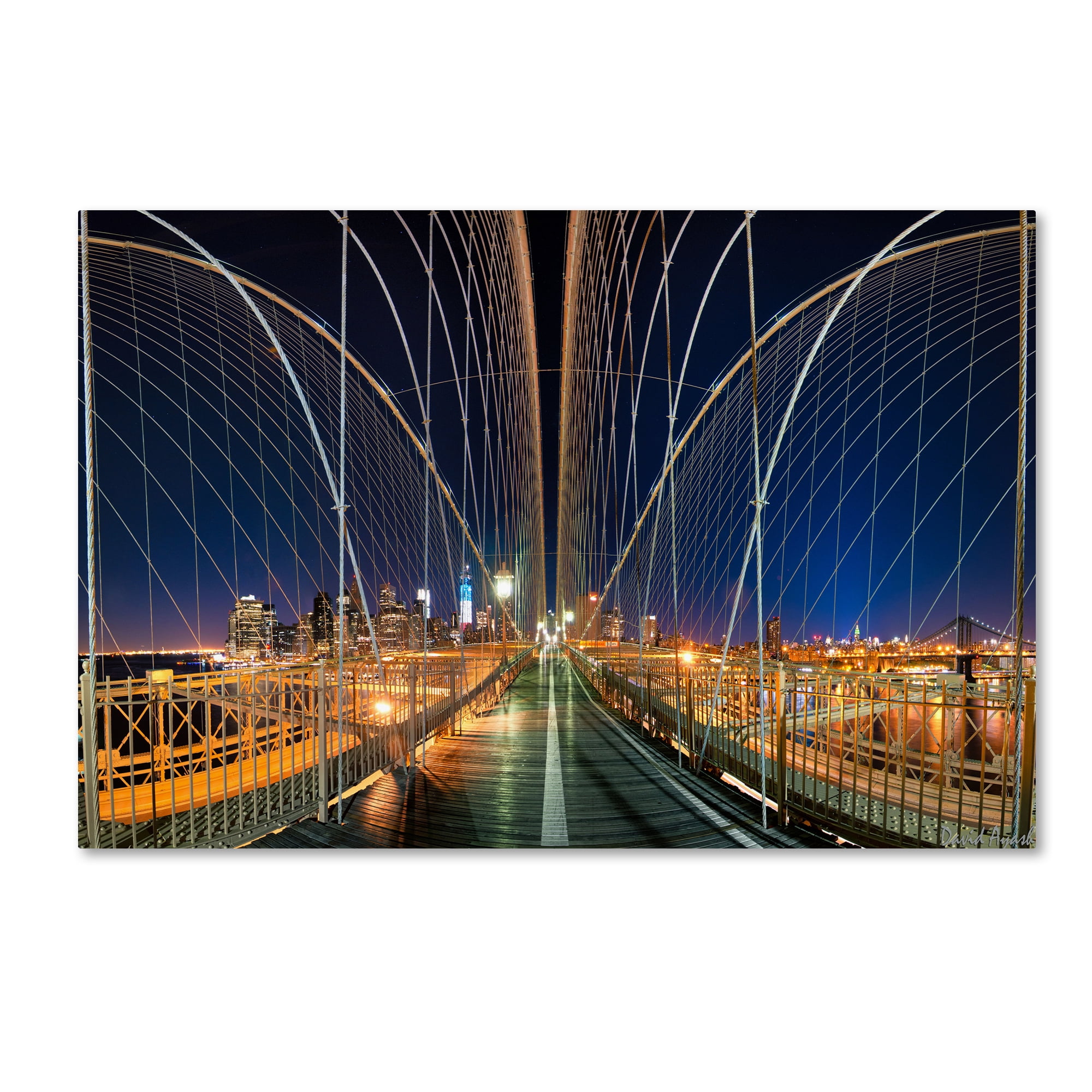 Trademark Fine Art "Brooklyn Bridge Panorama" Canvas Art by David Ayash