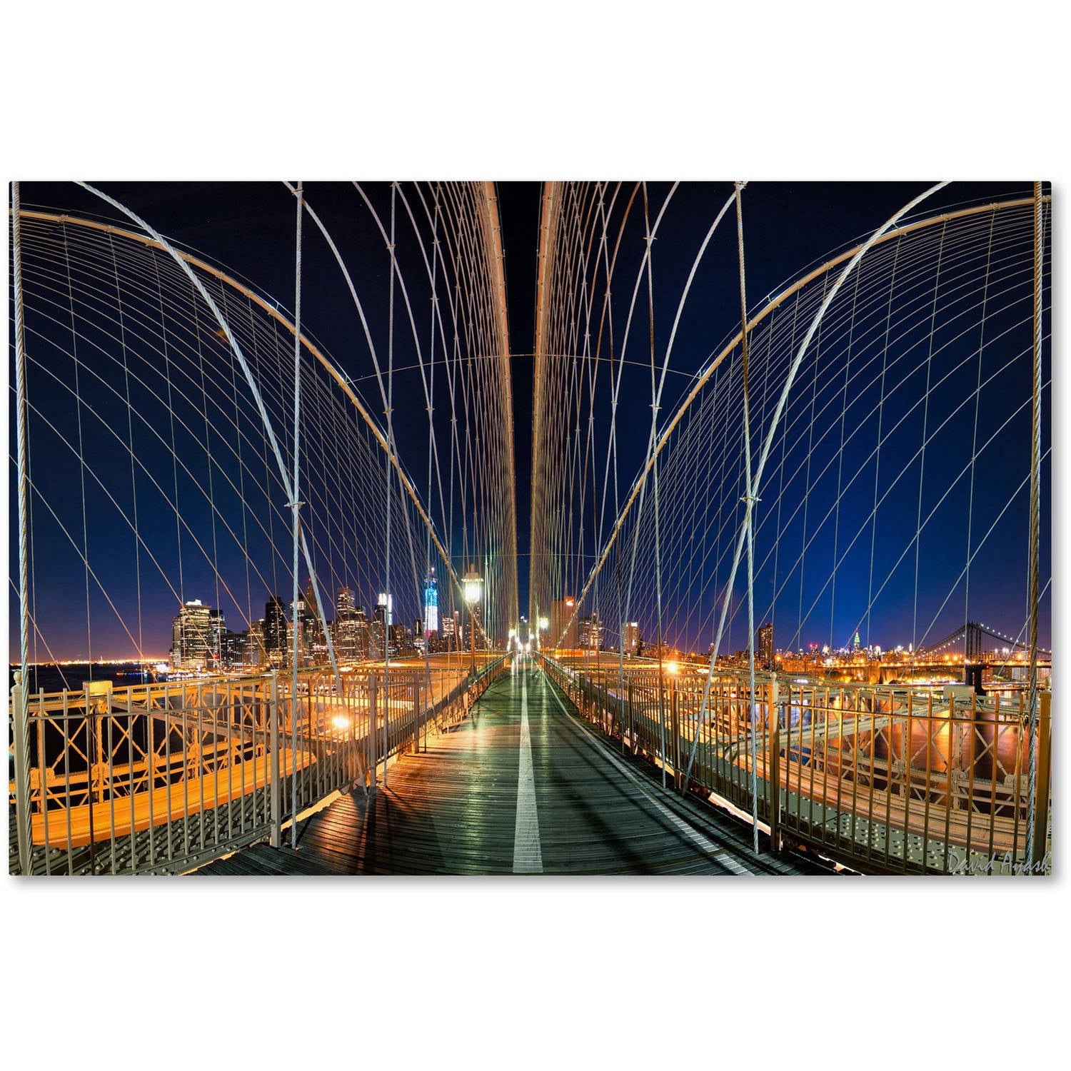 Trademark Fine Art "Brooklyn Bridge Panorama" Canvas Art by David Ayash