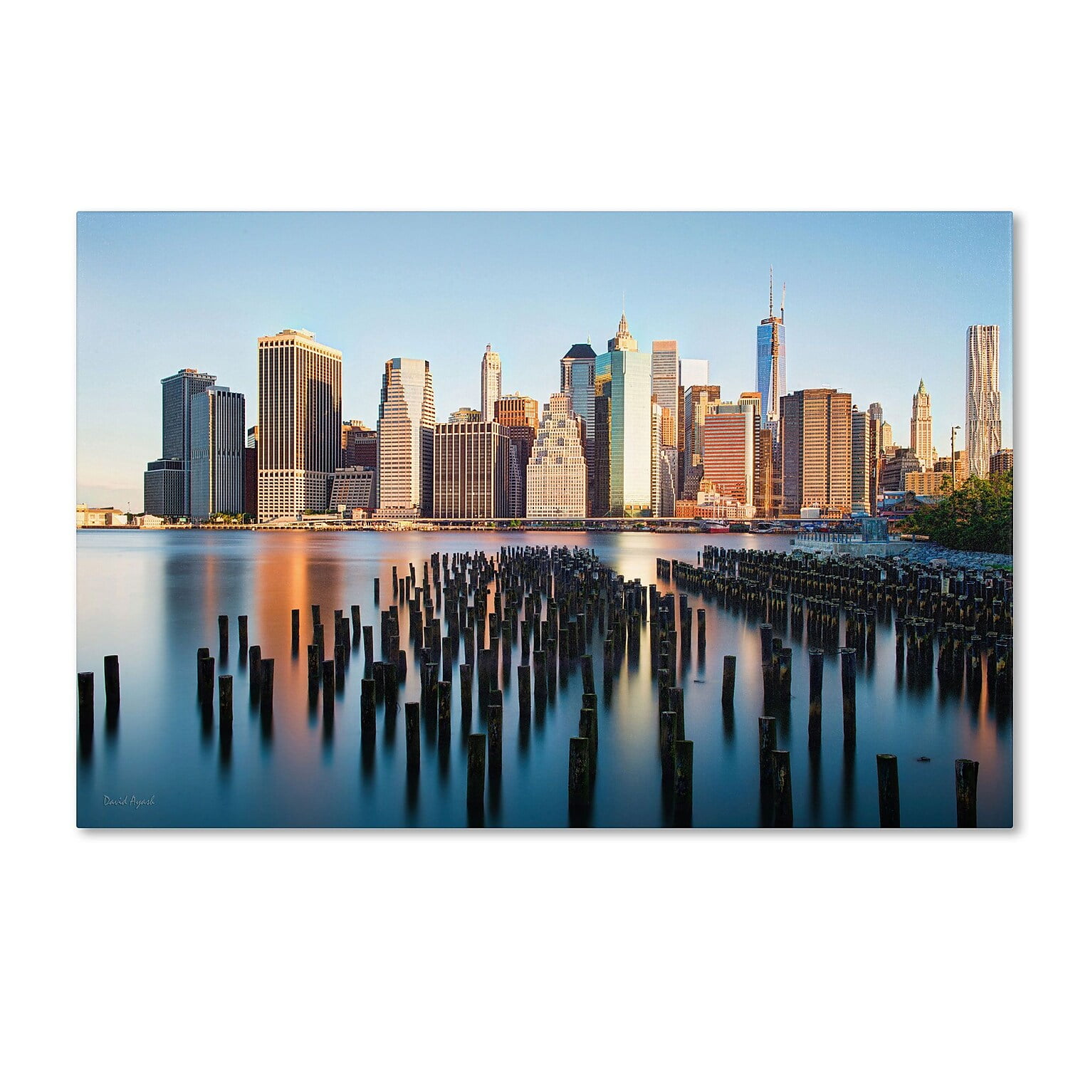 Trademark Fine Art "Brooklyn Bridge Park and Financial District - I" Canvas Art by David Ayash