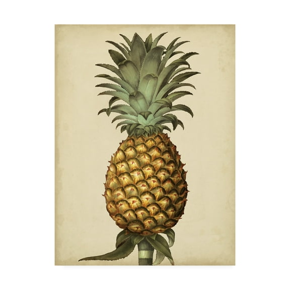 Trademark Fine Art 'Brookshaw Antique Pineapple I' Canvas Art by George Brookshaw