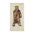 thumbnail image 1 of Trademark Fine Art 'Brown Bear Stare I' Canvas Art by Melissa Wang, 1 of 4