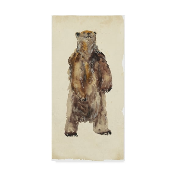 Trademark Fine Art 'Brown Bear Stare I' Canvas Art by Melissa Wang