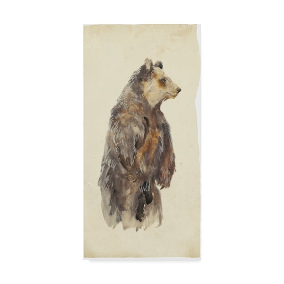 Trademark Fine Art 'Brown Bear Stare II' Canvas Art by Melissa Wang