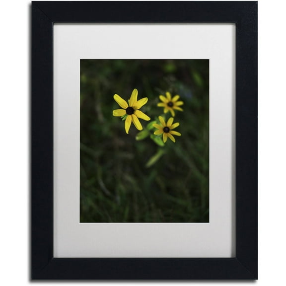 Trademark Fine Art "Brown-Eyed Susan" Canvas Art by Kurt Shaffer, White Matte, Black Frame
