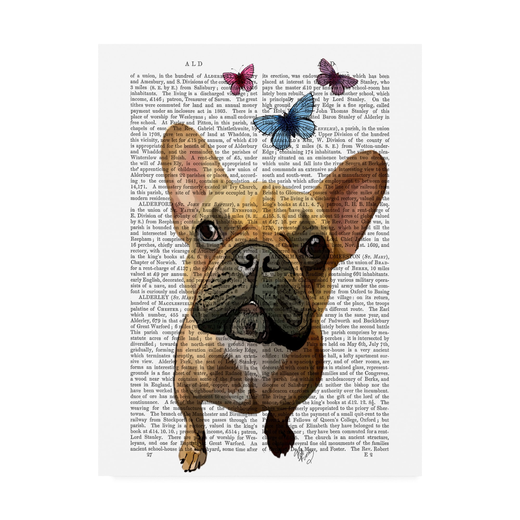 Trademark Fine Art 'Brown French Bulldog and Butterflies' Canvas Art by Fab Funky