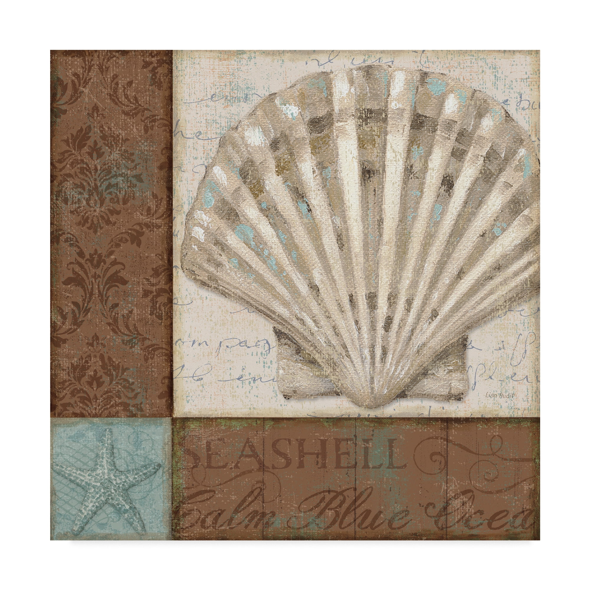 Trademark Fine Art 'Brown and Teal Shell I' Canvas Art by Lisa Audit