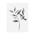 thumbnail image 1 of Trademark Fine Art 'Brume Botanical II' Canvas Art by Emma Scarvey, 1 of 3
