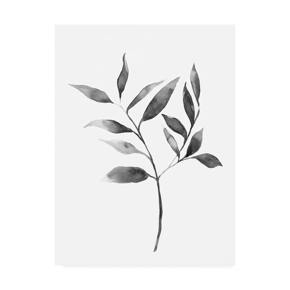 Trademark Fine Art 'Brume Botanical II' Canvas Art by Emma Scarvey