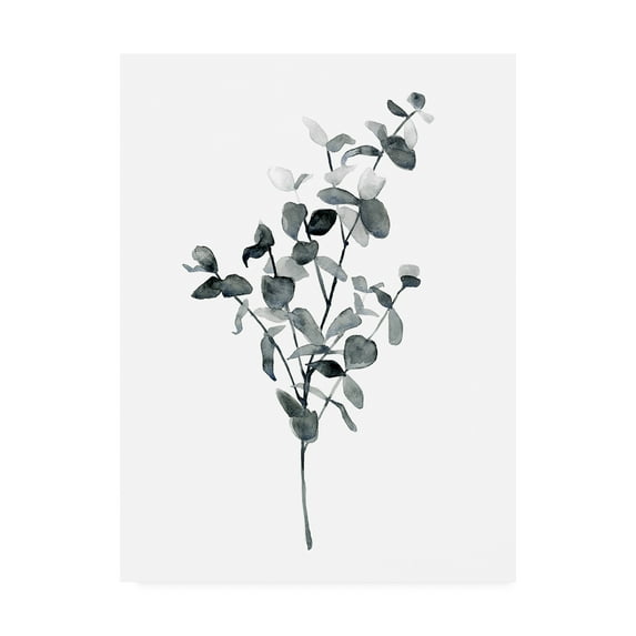 Trademark Fine Art 'Brume Botanical IV' Canvas Art by Emma Scarvey