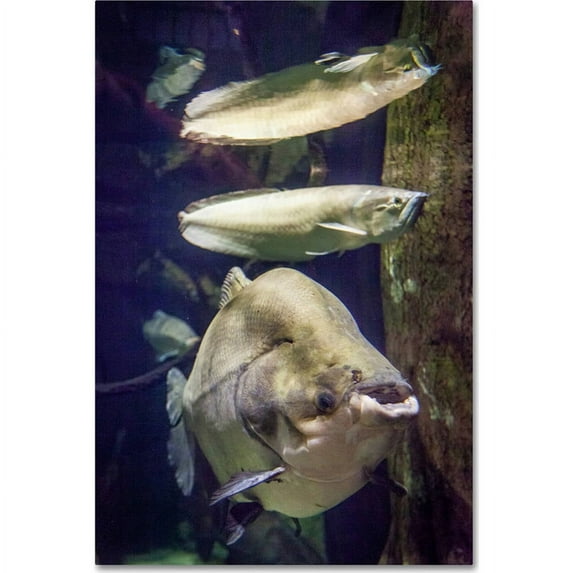 Trademark Fine Art "Bubba" Canvas Art by Yale Gurney