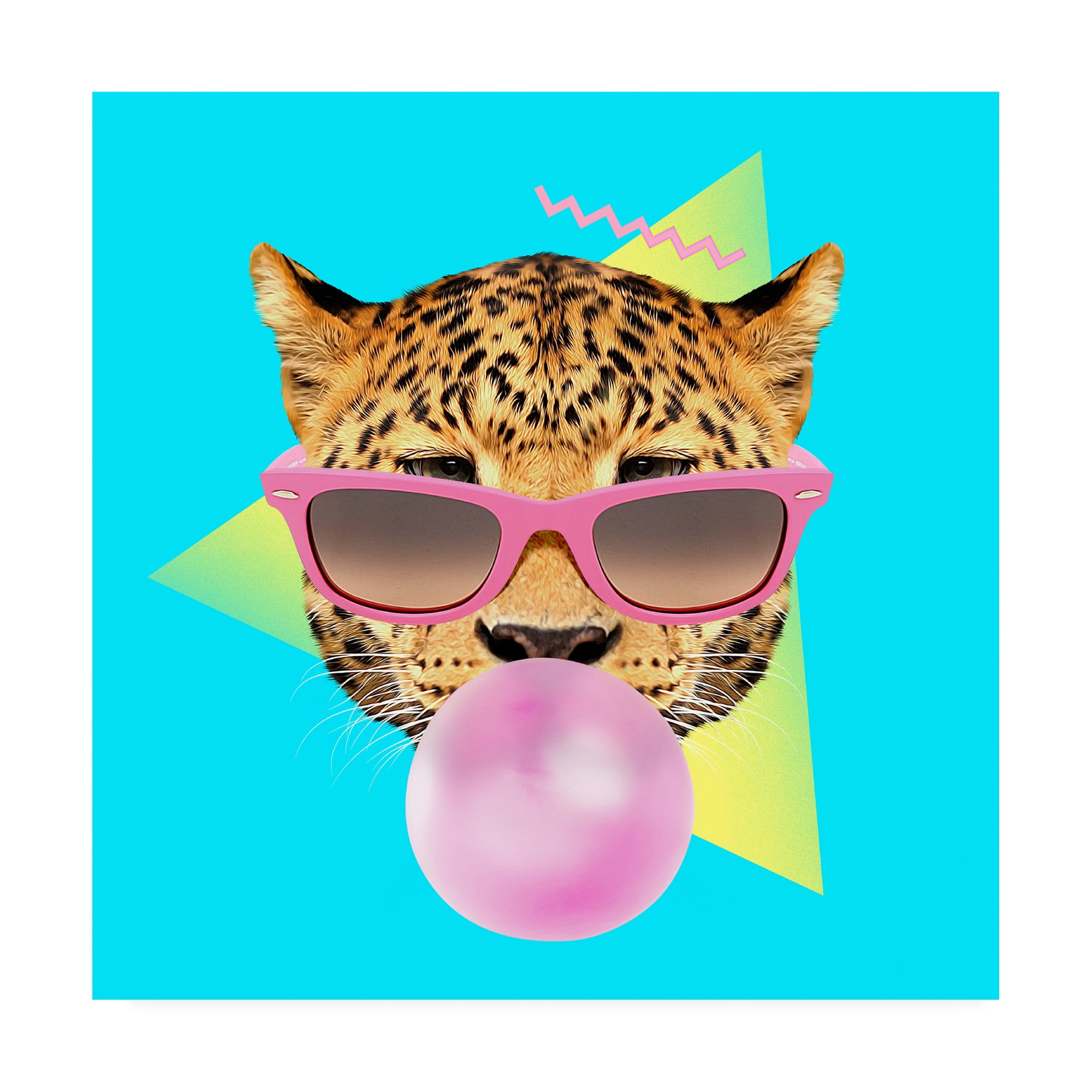 Trademark Fine Art 'Bubble Gum' Canvas Art by Robert Farka