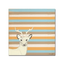 Trademark Fine Art 'Buck' Canvas Art by Tammy Kushnir