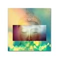 thumbnail image 1 of Trademark Fine Art 'Buddha Face 3' Canvas Art by Mark Ashkenazi, 1 of 3