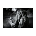 thumbnail image 1 of Trademark Fine Art 'Buddies Horse' Canvas Art by Aledanda, 1 of 4