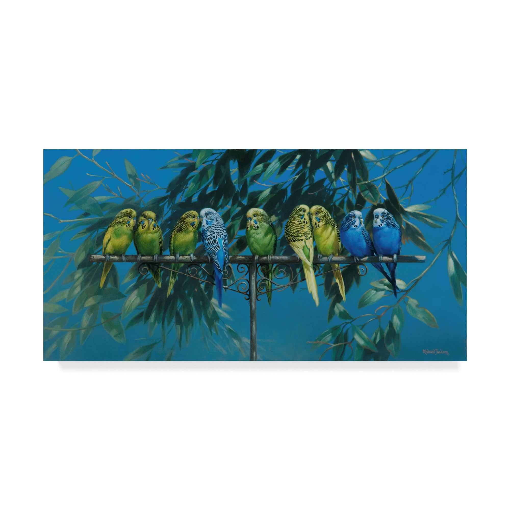 Trademark Fine Art 'Budgies' Canvas Art by Michael Jackson